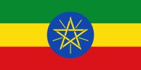 エチオピア モカシダモＧ２