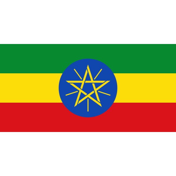 画像2: エチオピア　イルガチャフェ　G1ゲデブ　ウォッシュド (2)